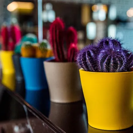 Park Sankt Peterburg 4* Plowdiw