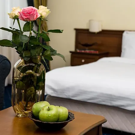 Park Sankt Peterburg Hotell