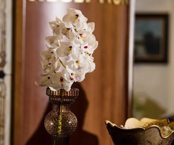 圣彼特堡公园酒店 普罗夫迪夫