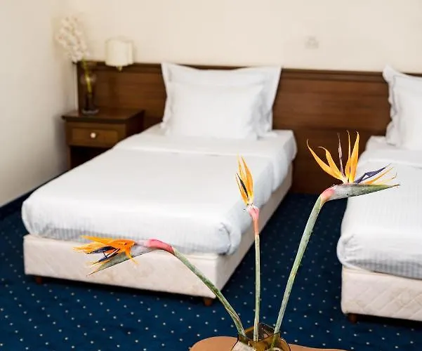 Hotel Park Sankt Peterburg 4*