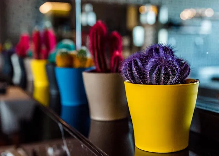 Park Sankt Peterburg 4* פלובדיב