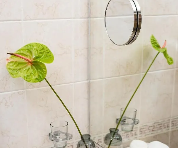 圣彼特堡公园酒店 4* 普罗夫迪夫