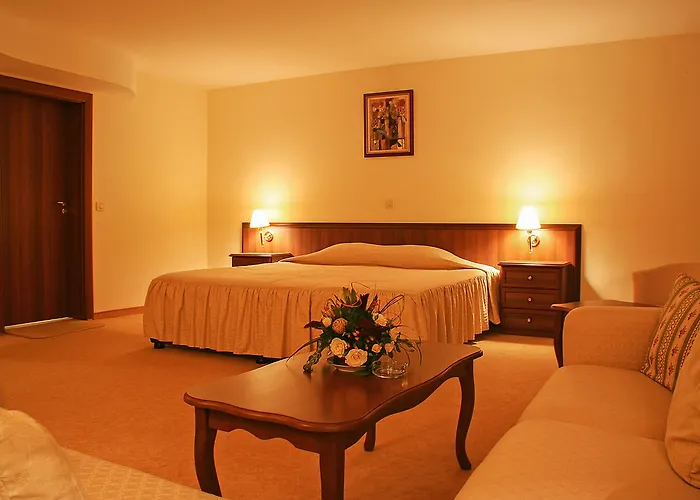 酒店 圣彼特堡公园酒店 4*